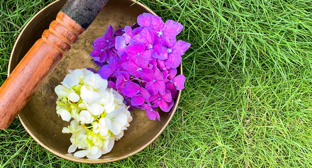 reiki-chill garden - thérapeute reiki à la Réunion - praticien reiki 974